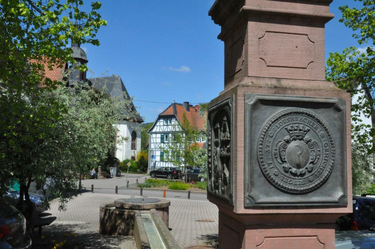 Apartmenthaus Am Zimmerplatz Hofheim am Taunus Ngoại thất bức ảnh